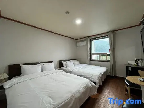 Deluxe Double room (twin beds)