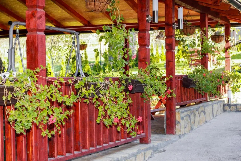 Apartmani Bojana