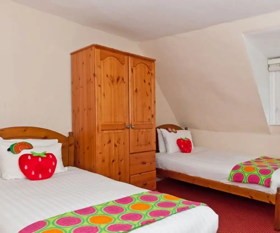Standard Double Attic room (twin beds)