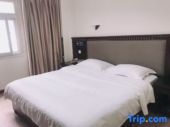 Balcony & Terrace
