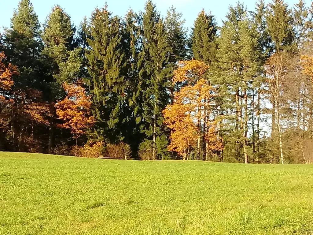 Kunterbunt Seehaus