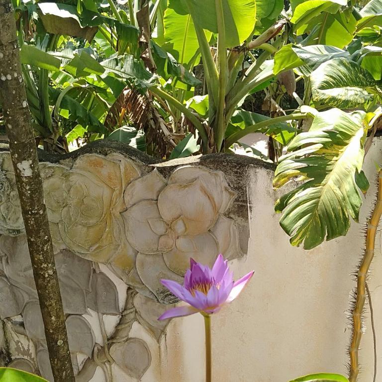 Casa Mirissa