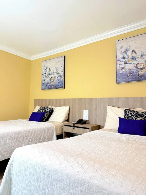 Hotel Andros - Chambres