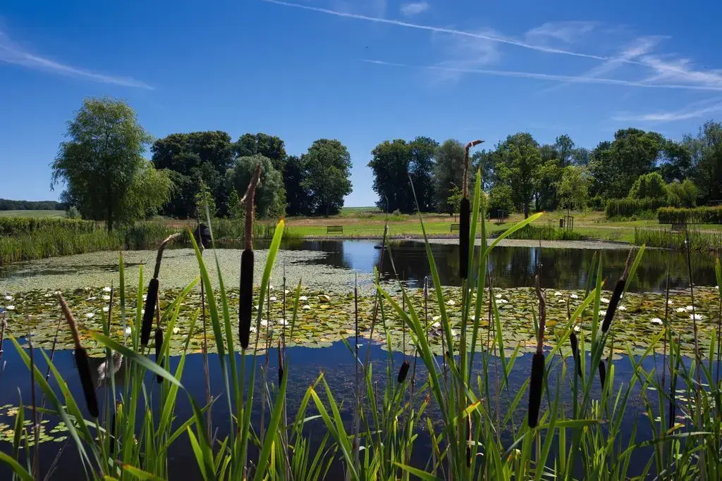 Schlossgut Gross Schwansee - Général