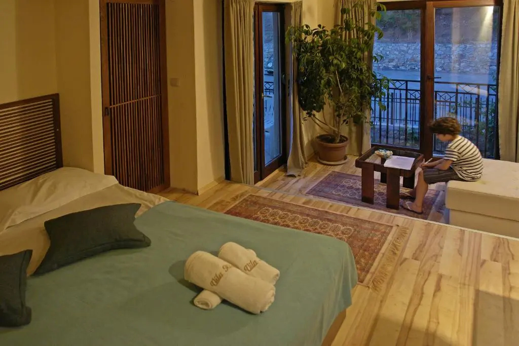 Standard Double room with mountain view (full double bed)
