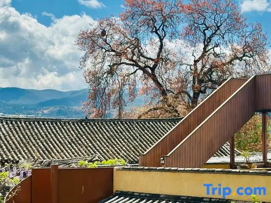 Wuqi Holiday Guesthouse (Ancient Stage Branch), Shaxi, Dali