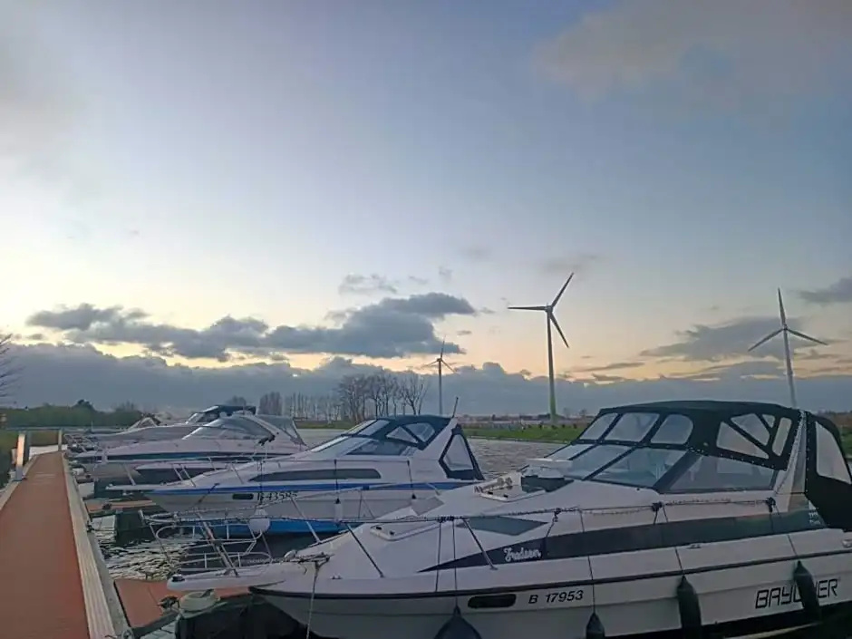 Neptunus