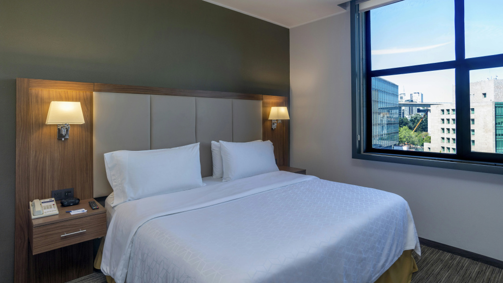 Holiday Inn Express Mexico Santa Fe by IHG - Général