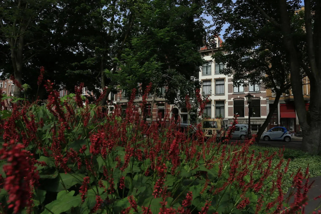 Frederik Park House - Général