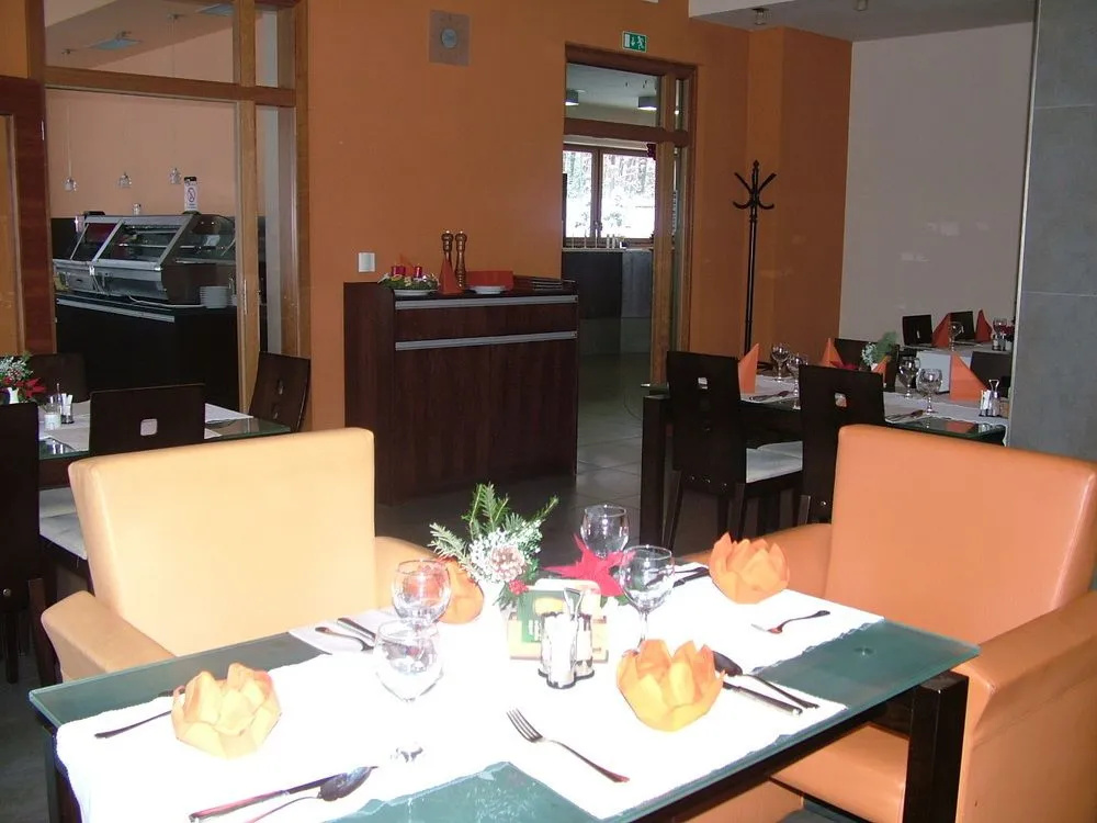 Hotel Sport Zruč - Général