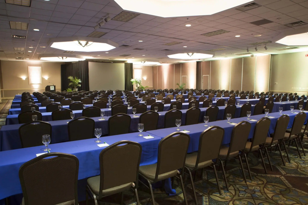 Holiday Inn Binghamton Downtown by IHG - Général