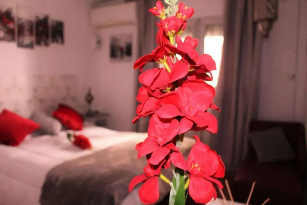Hotel photo 36
