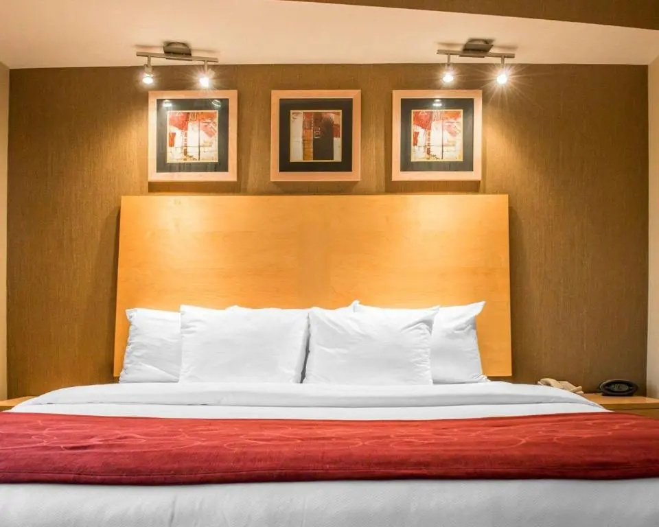 Standard Suite