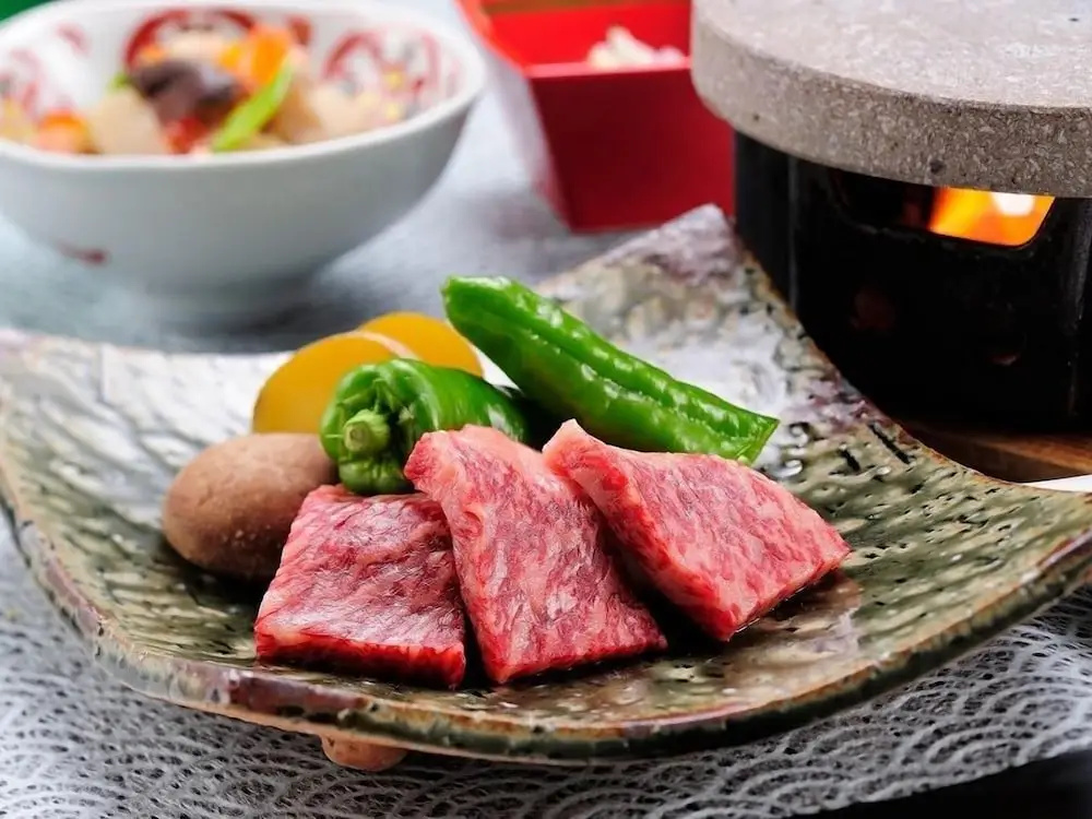 Hotel Hoho "A hotel overlooking the Echigo Plain and the Yahiko mountain range" - Général