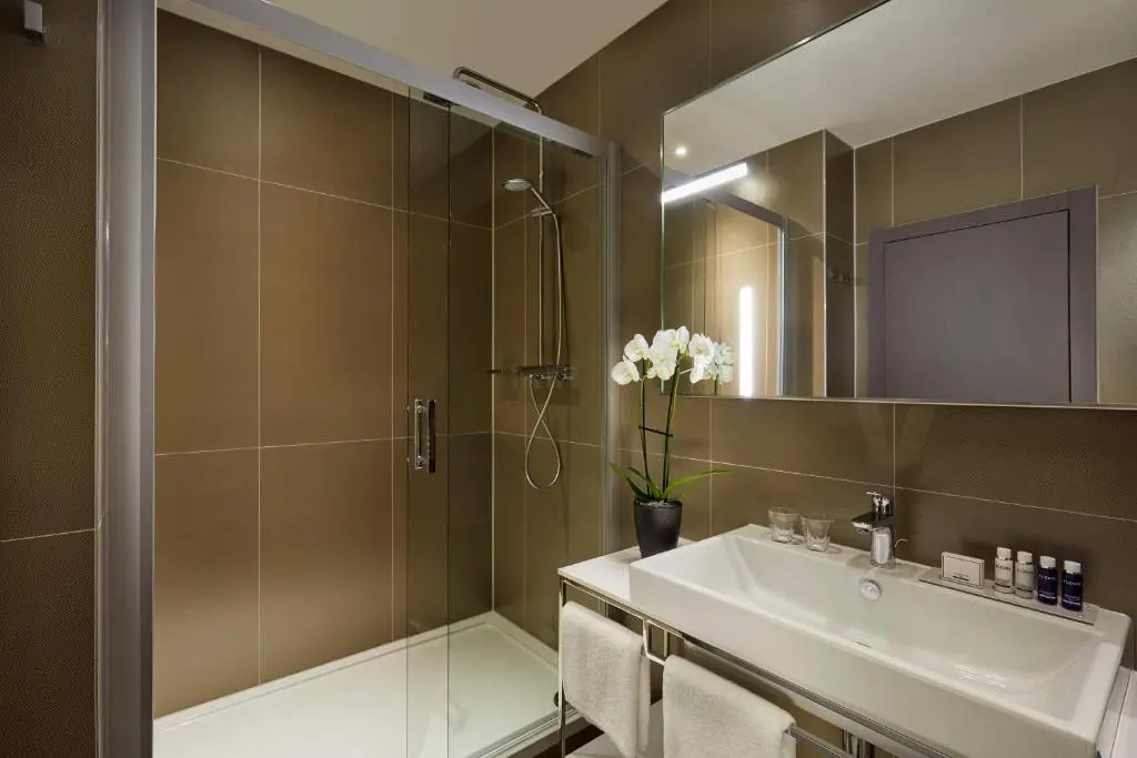 Superior Atrium View Double room (full double bed)