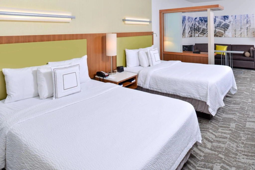 SpringHill Suites by Marriott Detroit Metro Airport Romulus - Général