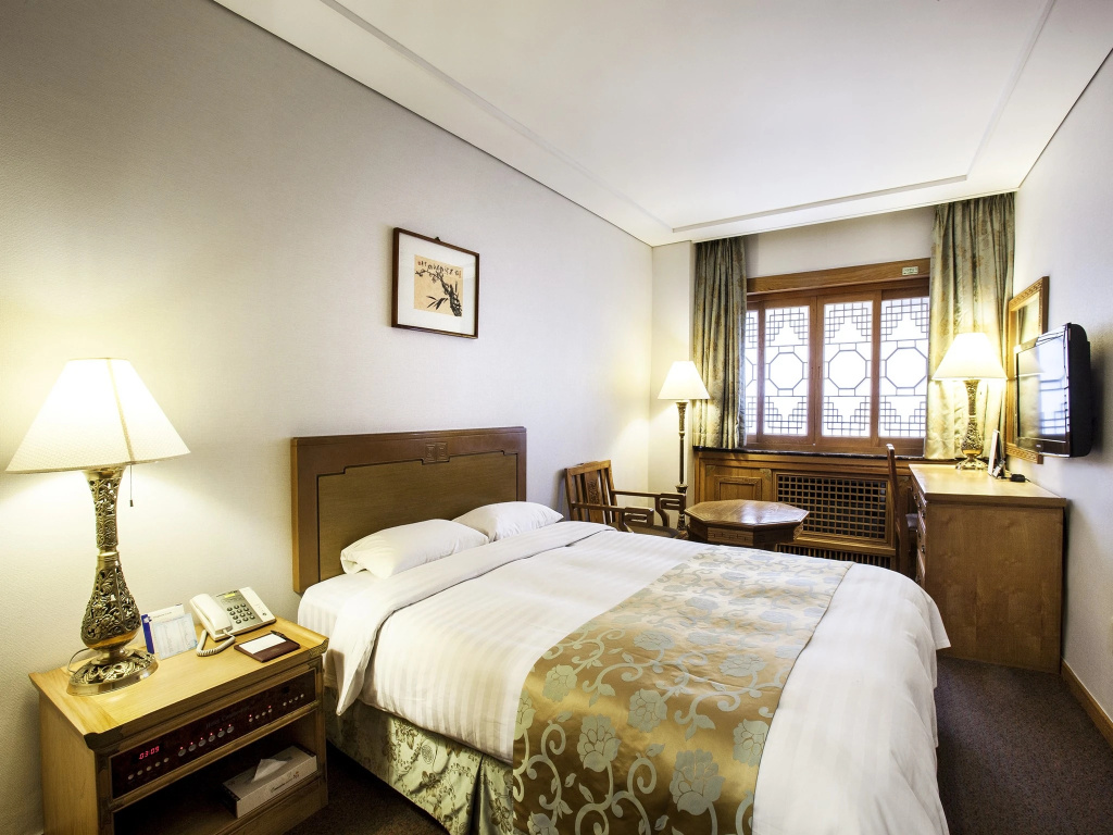 Standard Double room (full double bed)