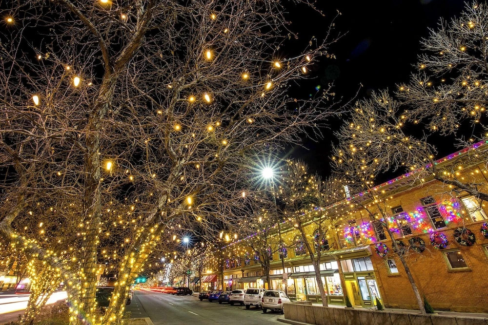 Urban Nest Garage, Sunroom & Fenced Yard — фото 3