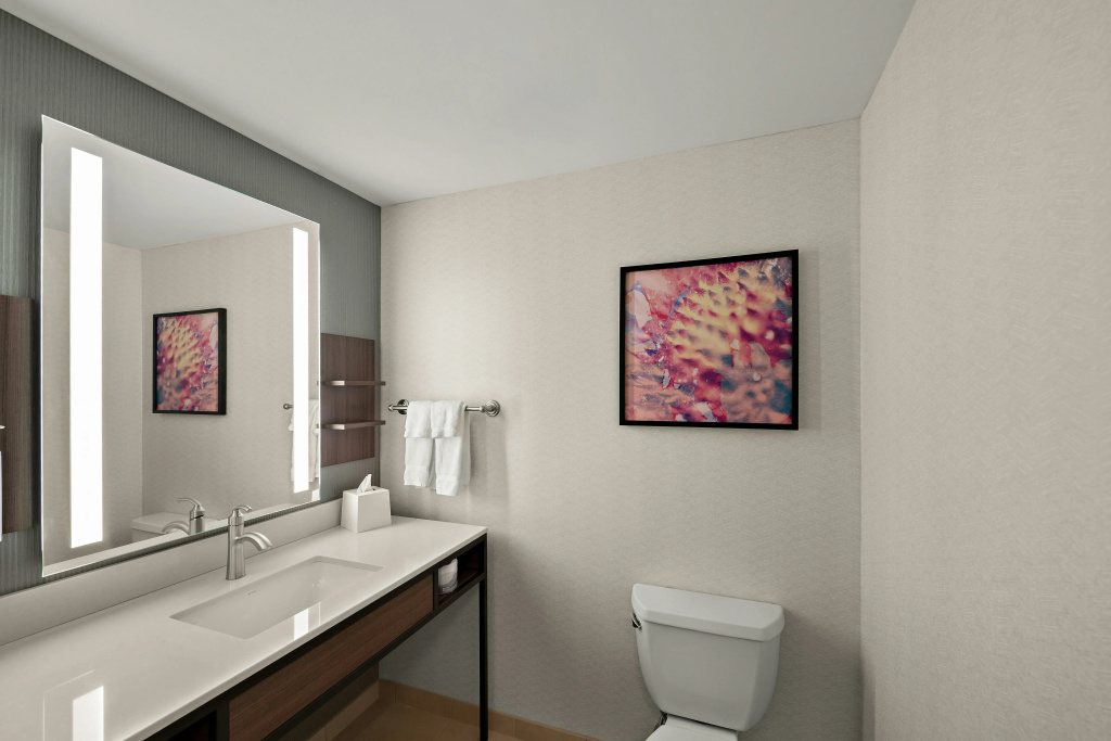 Hilton Garden Inn Omaha East/Council Bluffs - Général
