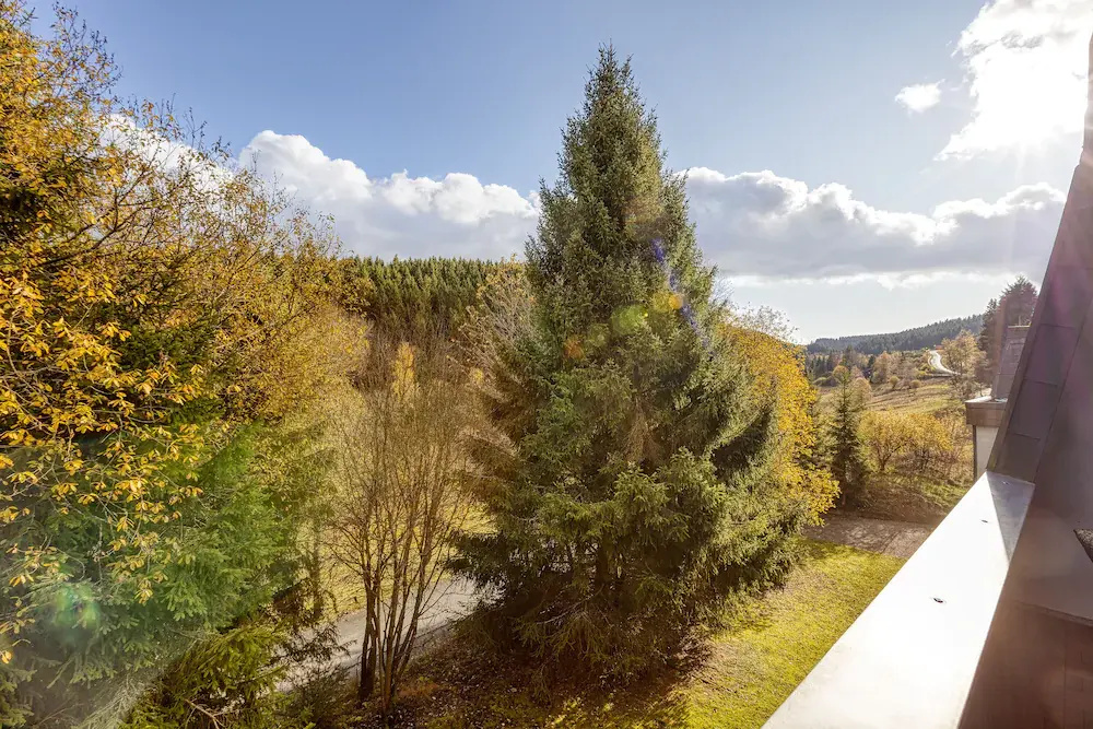 Apartment Winterberg - Stylish