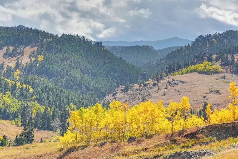 7 Mi to Bighorn Natl Forest: Dog-friendly Home