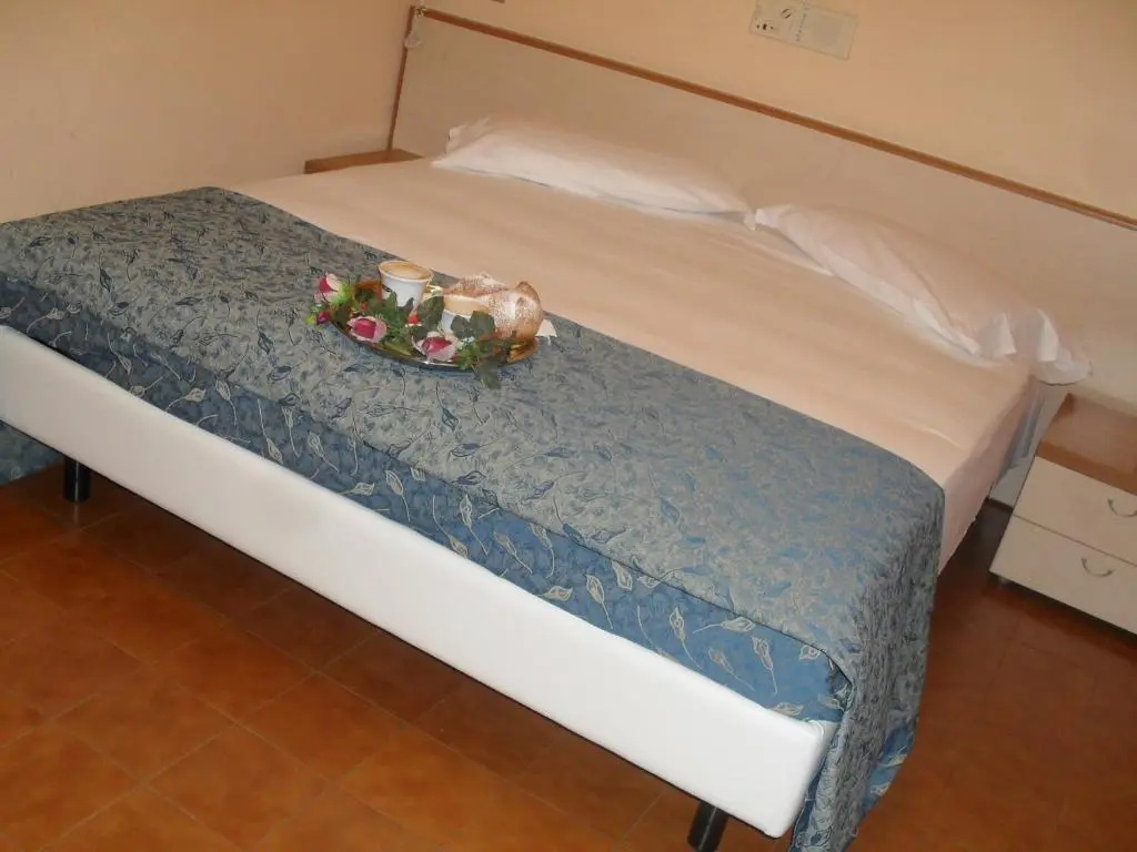 Deluxe Double room (full double bed)