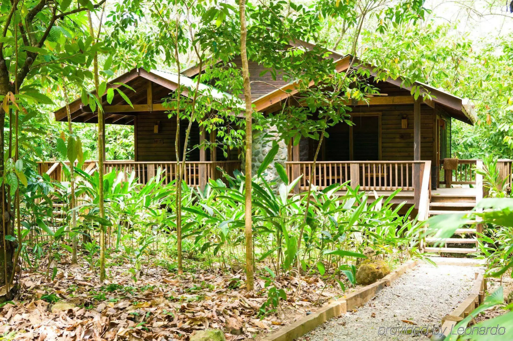 The Lodge at Pico Bonito - фото 31