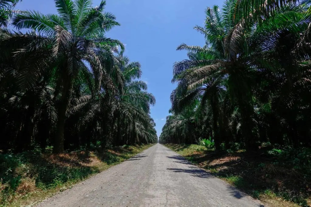 2 Comfortable New Villas Near Pacific, Private Pool With Waterfall! - фото 14