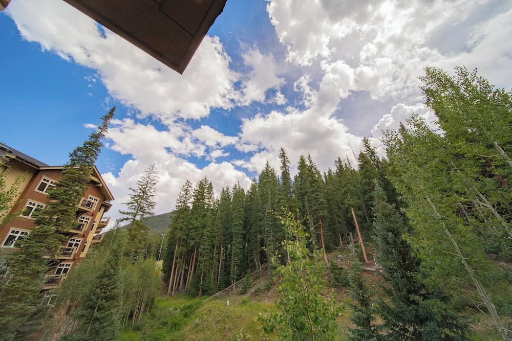 Hotel photo 50