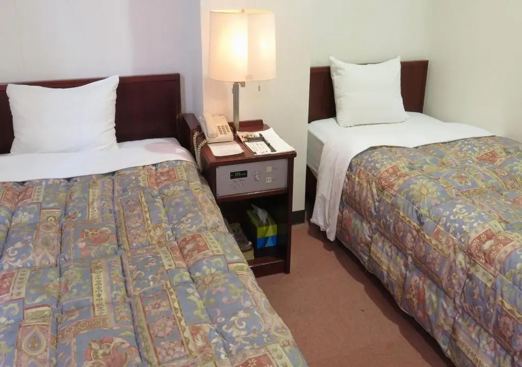 Standard Double room (twin beds)