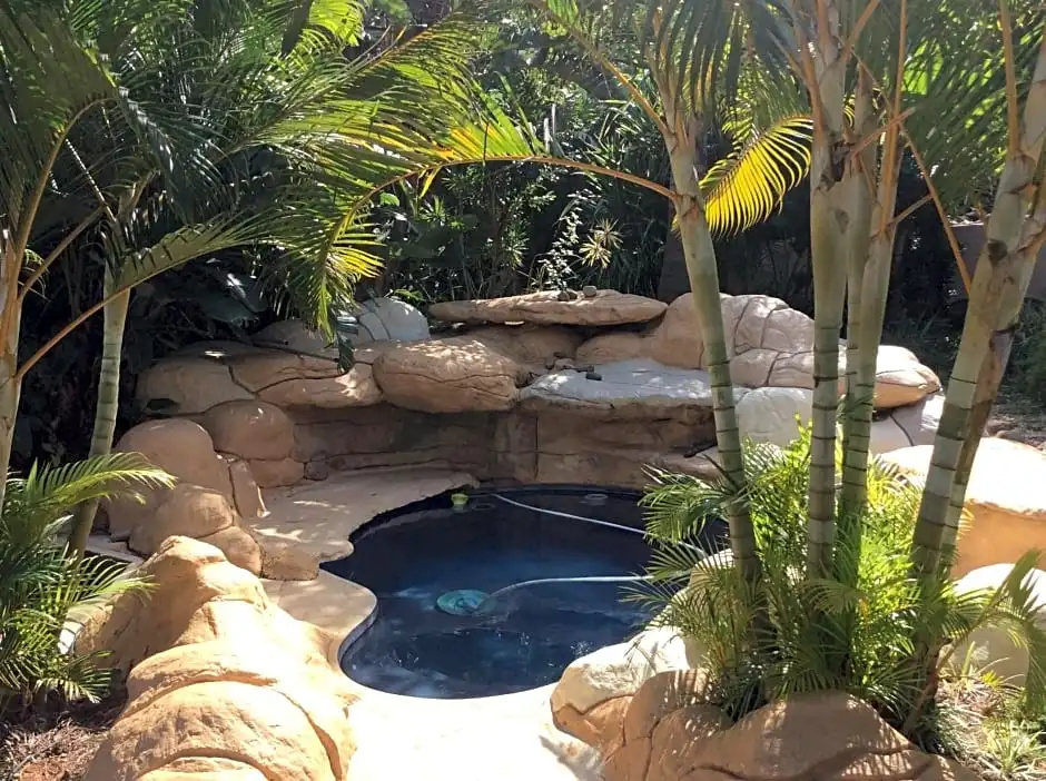 Tropical Paradise
