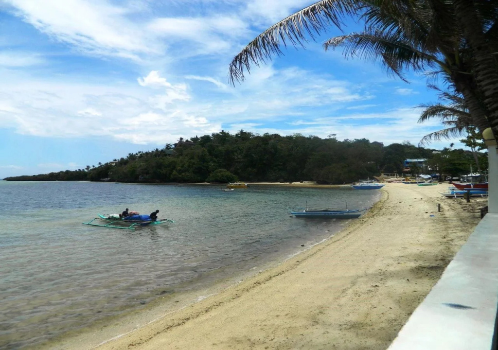 Paradise Bay - Général