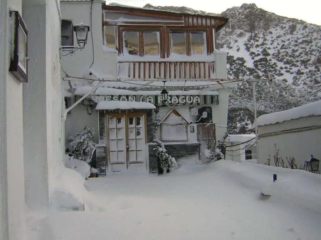 Hotel La Fragua II