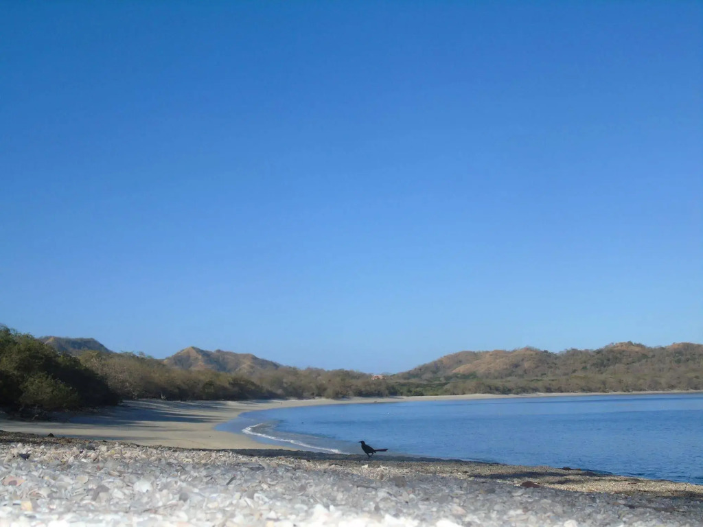 Hotel Jinesta Conchal - фото 12