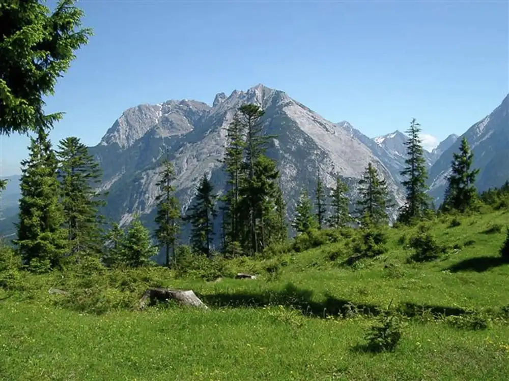 Apartment in Seefeld Near Rosshutte Ski Resort