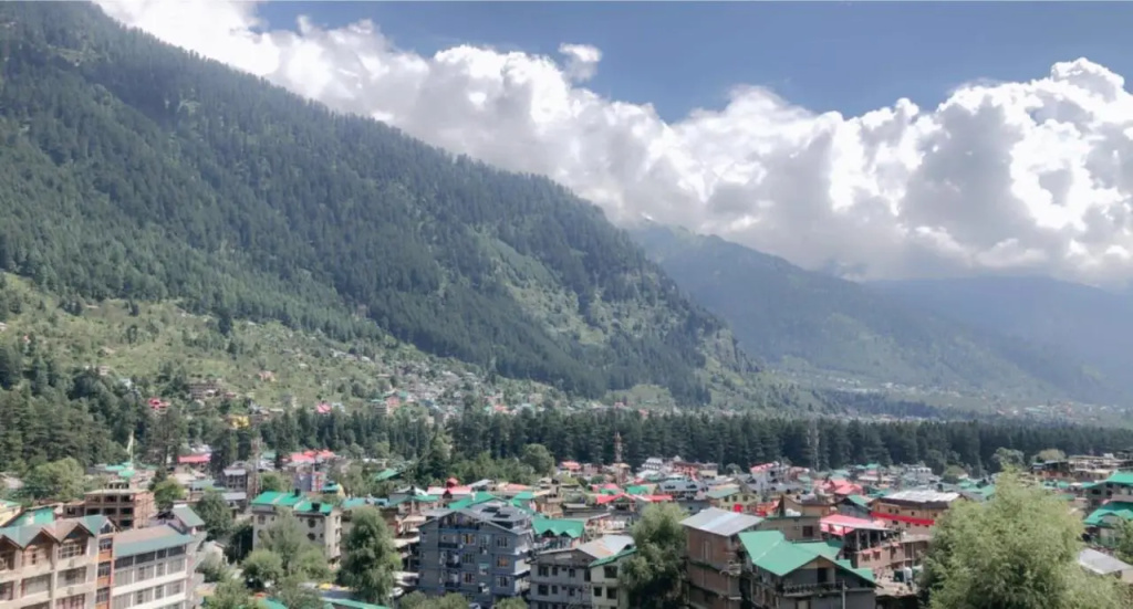 Hotel Hadimba Palace Manali - Général