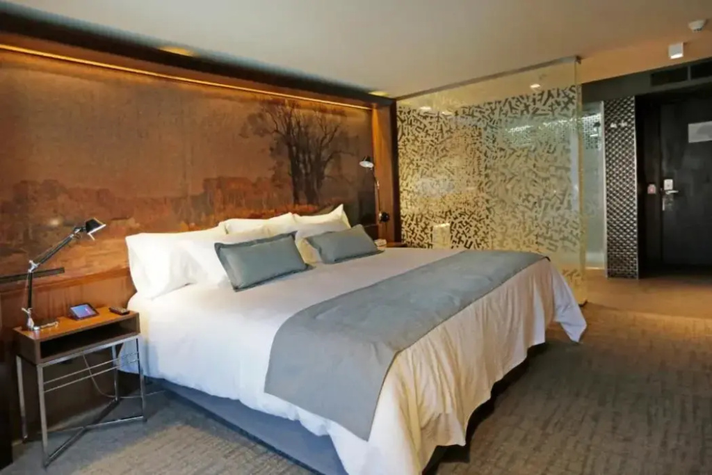 Hotel Cumbres Lastarria - фото 30