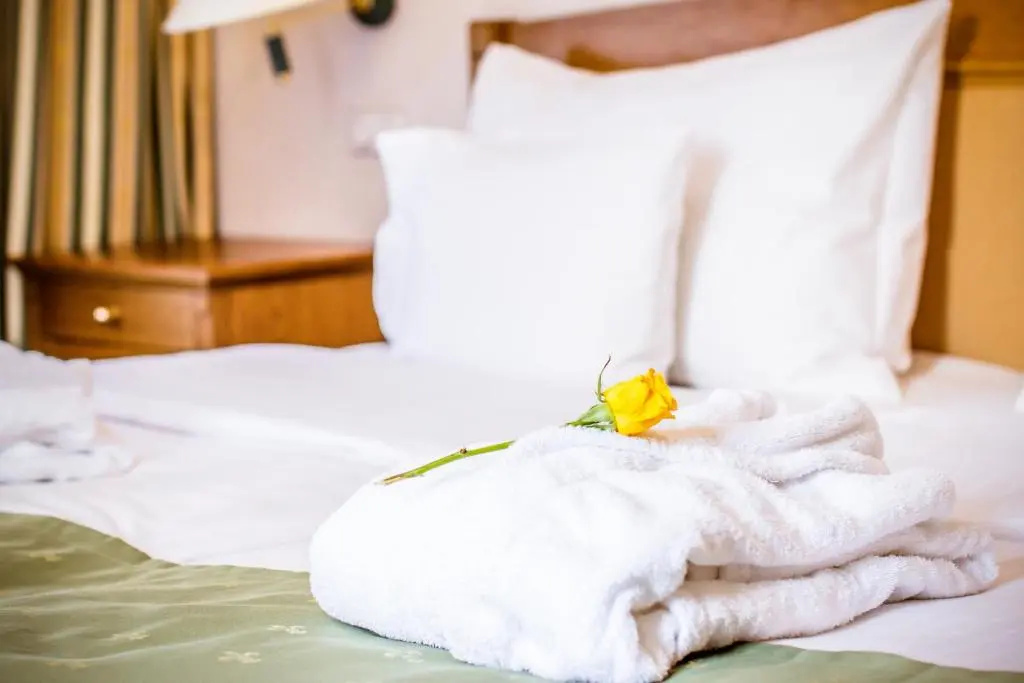 Hotel Dvorak - Chambres
