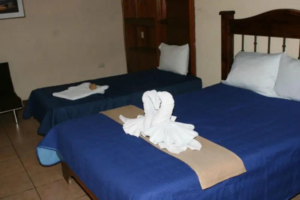 Hotel Millenium - Chambres