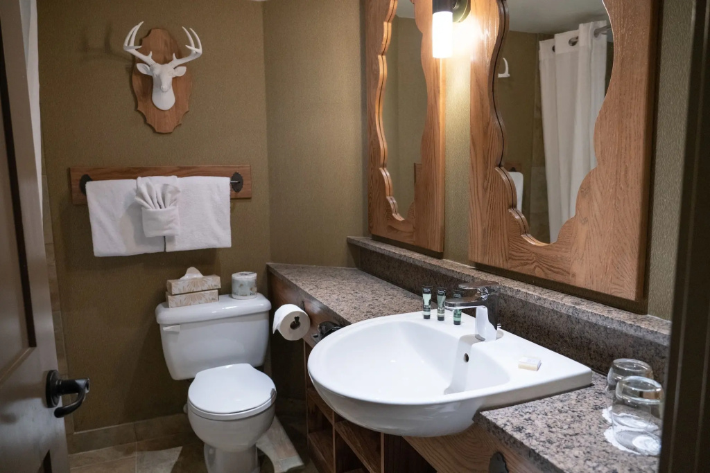 Banff Caribou Lodge and Spa - Général