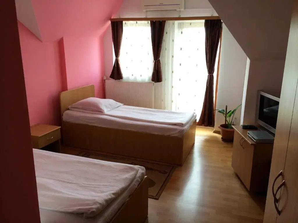 Pensiunea Simina - Chambres