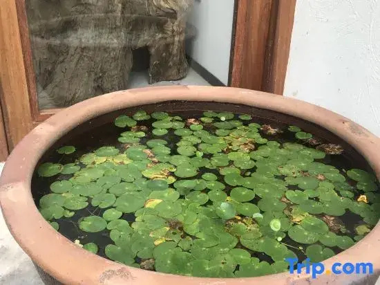 dongxiaojiedemins·xiyushanju