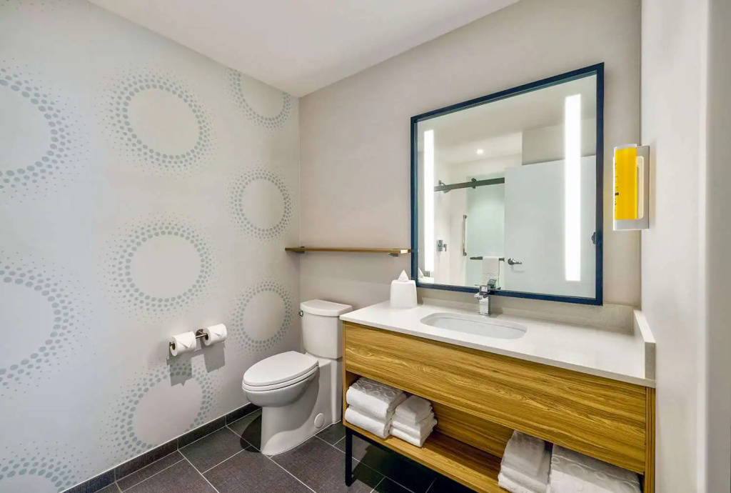 Tru by Hilton Minneapolis Downtown Room Type - Standard Double room (full double bed)