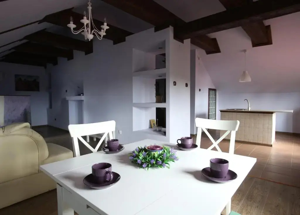 Penthouse Apartment