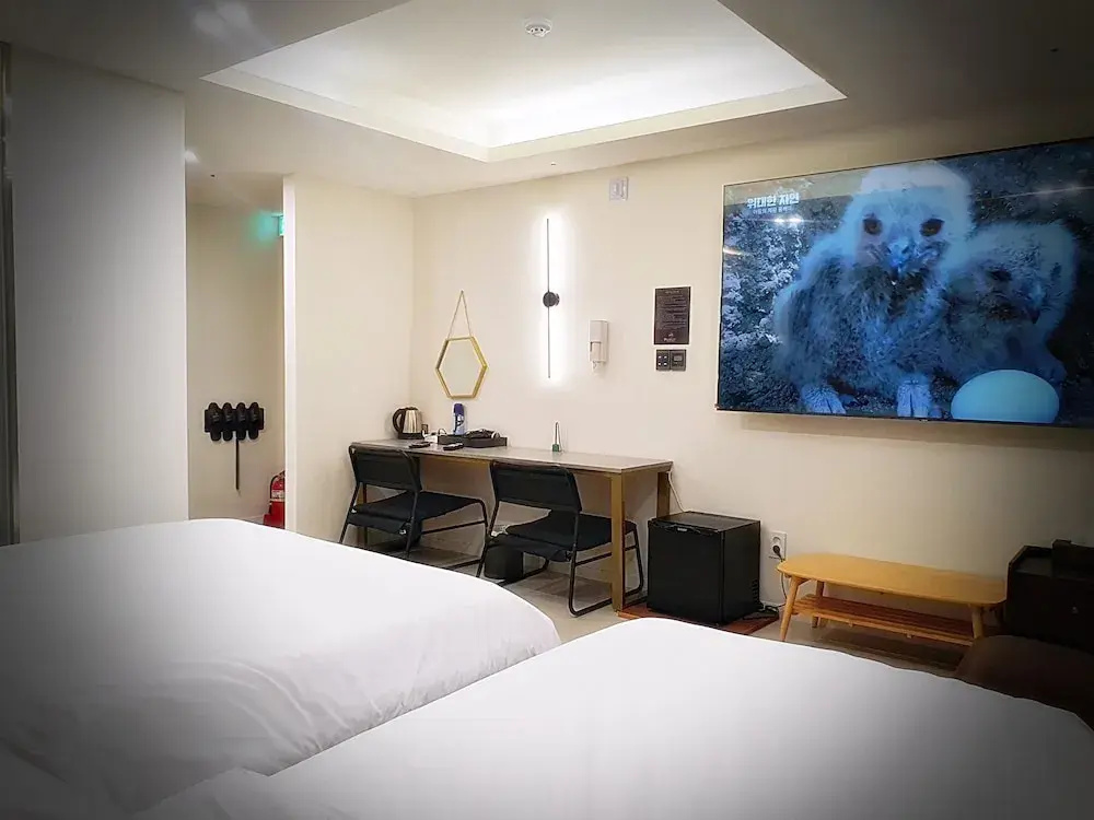 Premier Double room with city view (twin beds)
