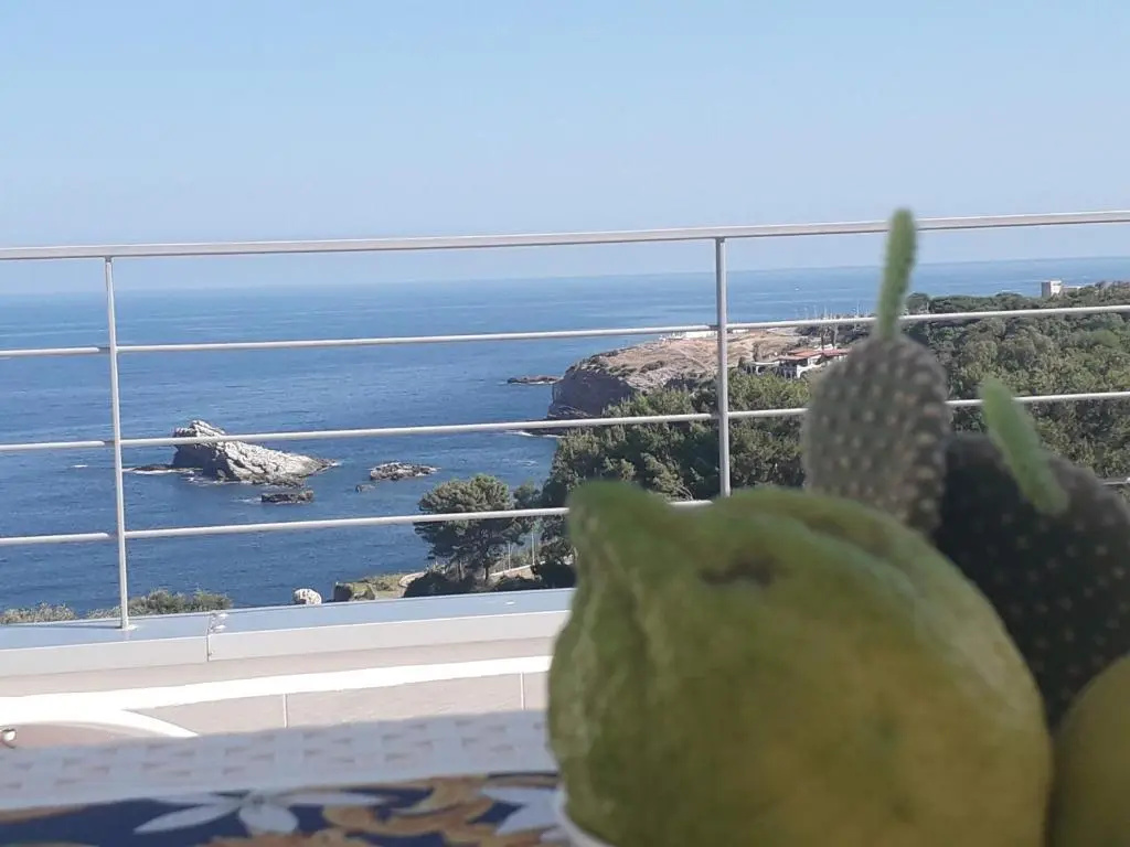 Deluxe Double room with balcony (full double bed)