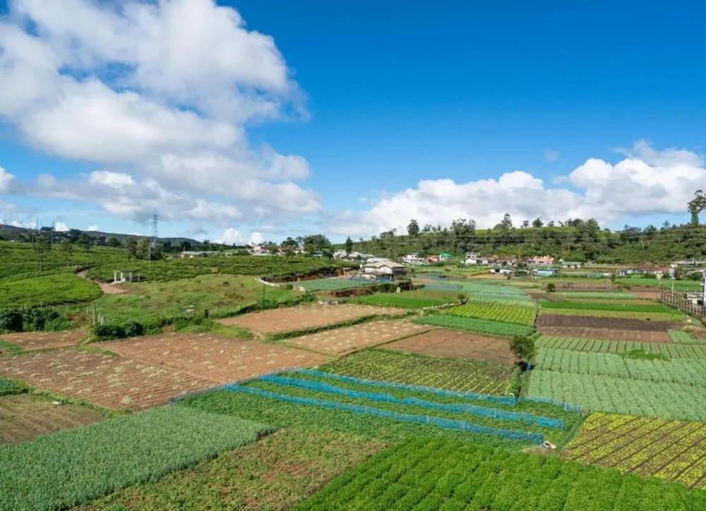 Stoney Croft Cottage - фото 17