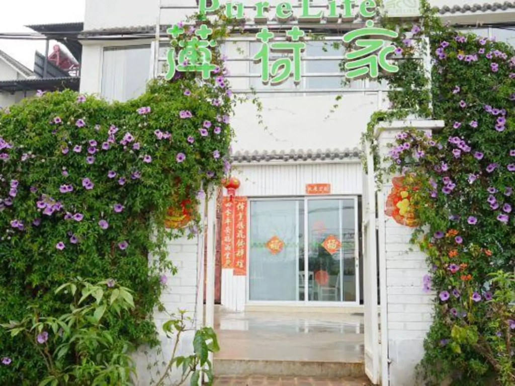 Pure Life Hostel - фото 8