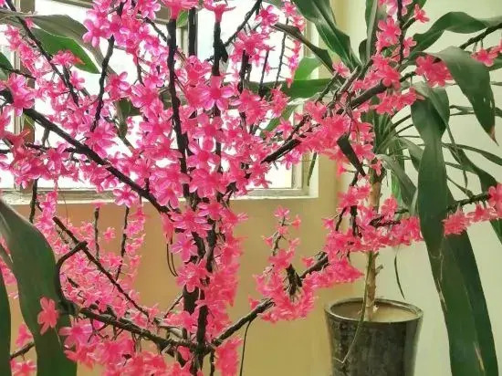 Taixin Hotel - фото 28