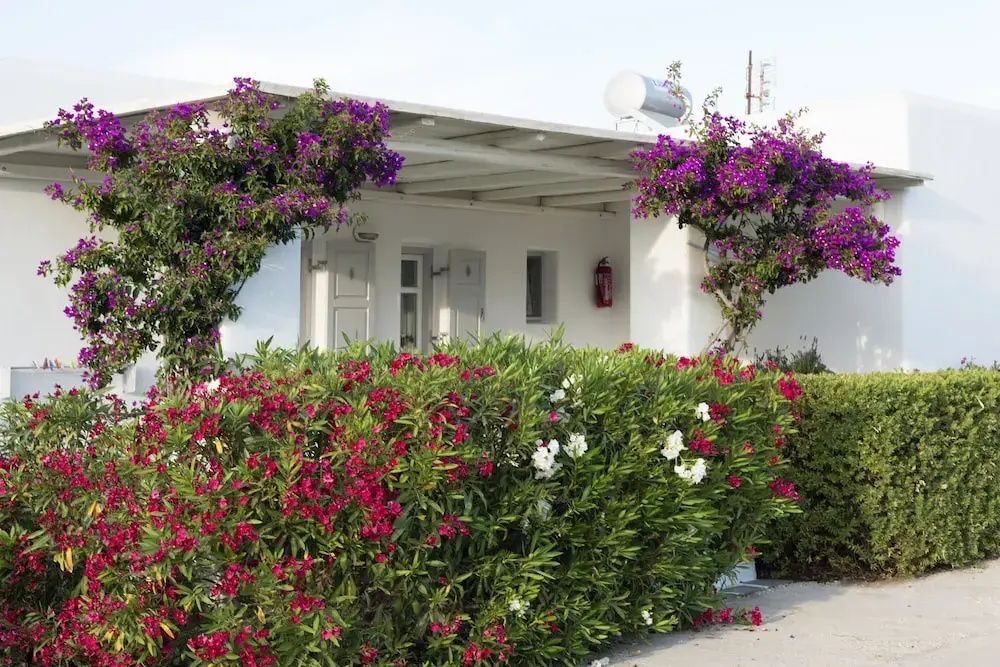 Studios & Apartments Golden Sand Paros